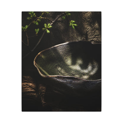 Sophisticated Ceramic Bowl Canvas Art - Dark Texture Dark Japandi