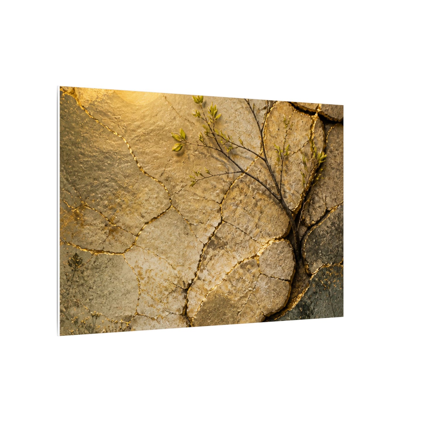 Cracked Earth Spring Canvas Art | Japandi Warm Design