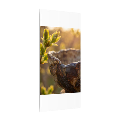 Golden Hour Ceramic Bowl Canvas Art - Dark Japandi Ma