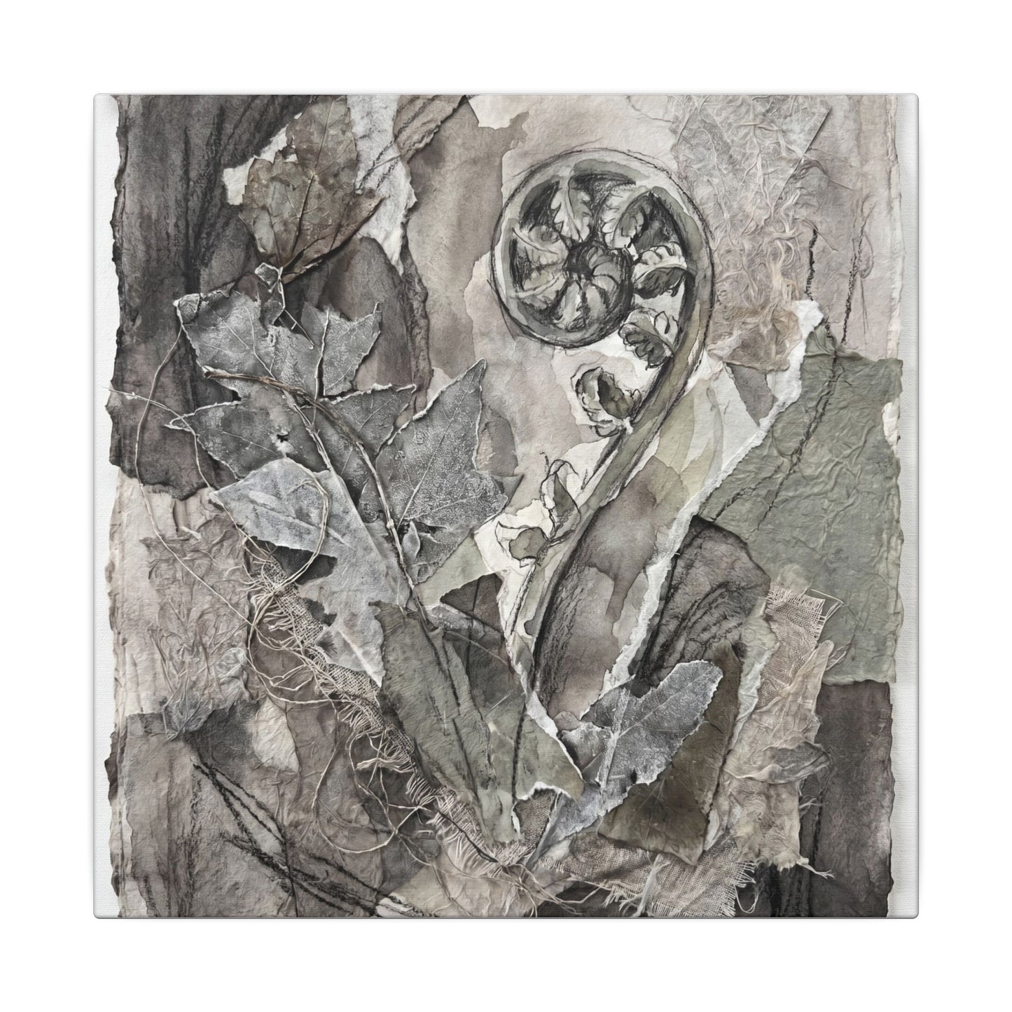 Japandi Fern Unfurling in Overcast | Texture Canvas Art