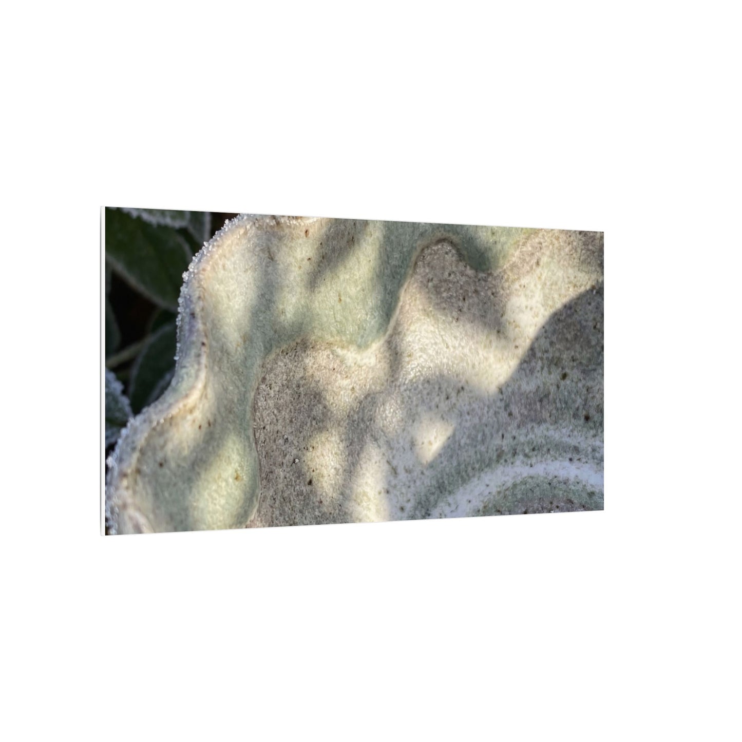 Dappled Ceramic Bowl Canvas Art - Japandi Seijaku