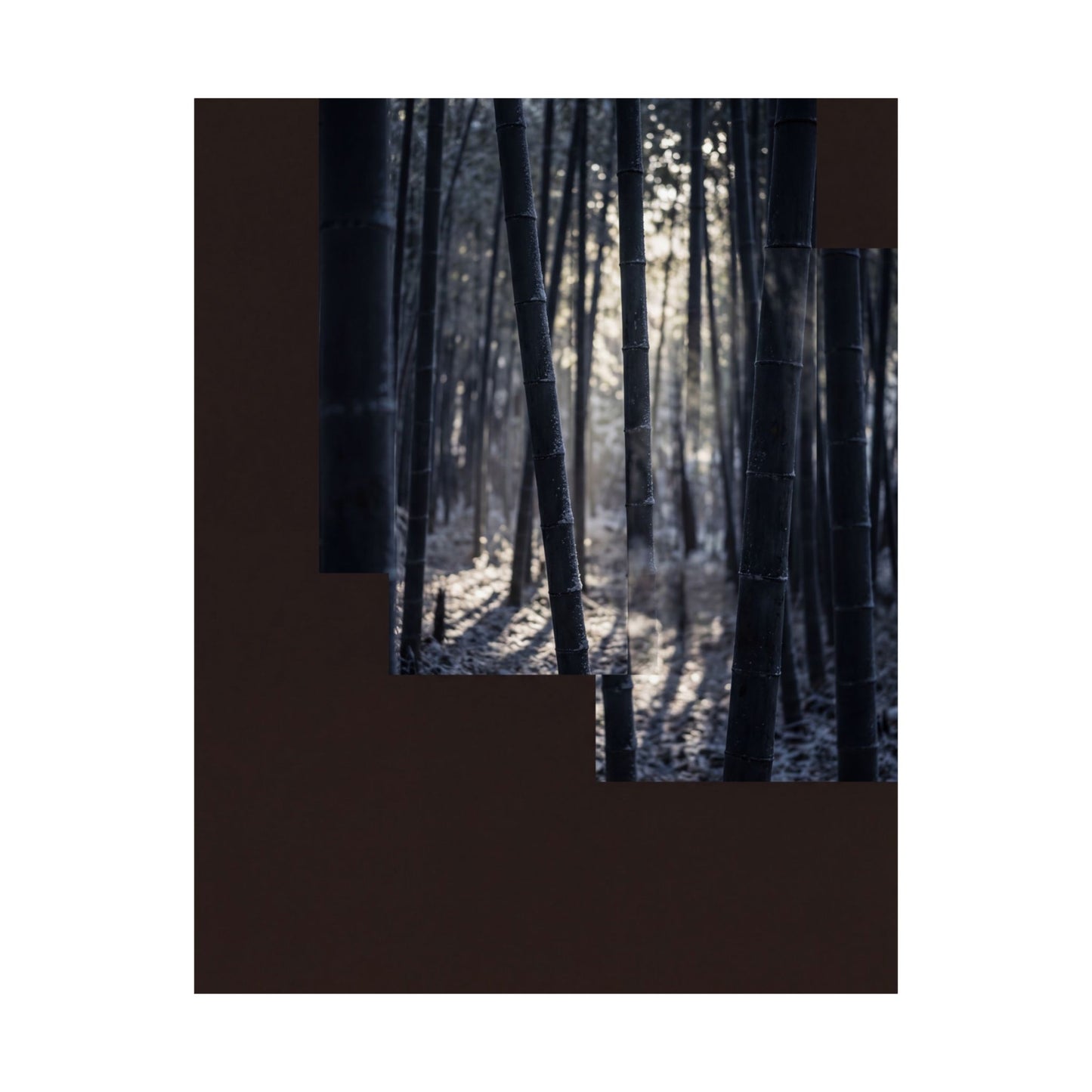 Ma Bamboo Grove Wall Art Print - Dark Japandi Moody Minimal