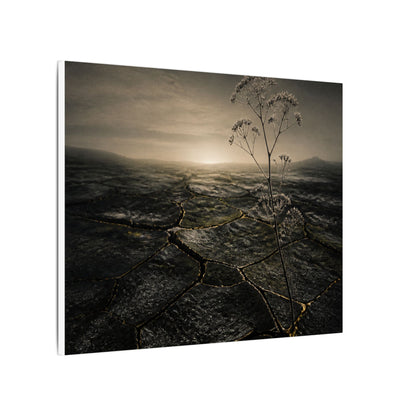 Dawn Cracked Earth Canvas Art - Dark Japandi Mono No Aware