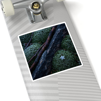 Luxurious Moss Close Up Sticker - Moody Minimal Dark Japandi Art Print
