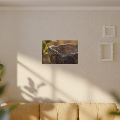 Golden Hour Ceramic Bowl Canvas Art - Dark Japandi Ma