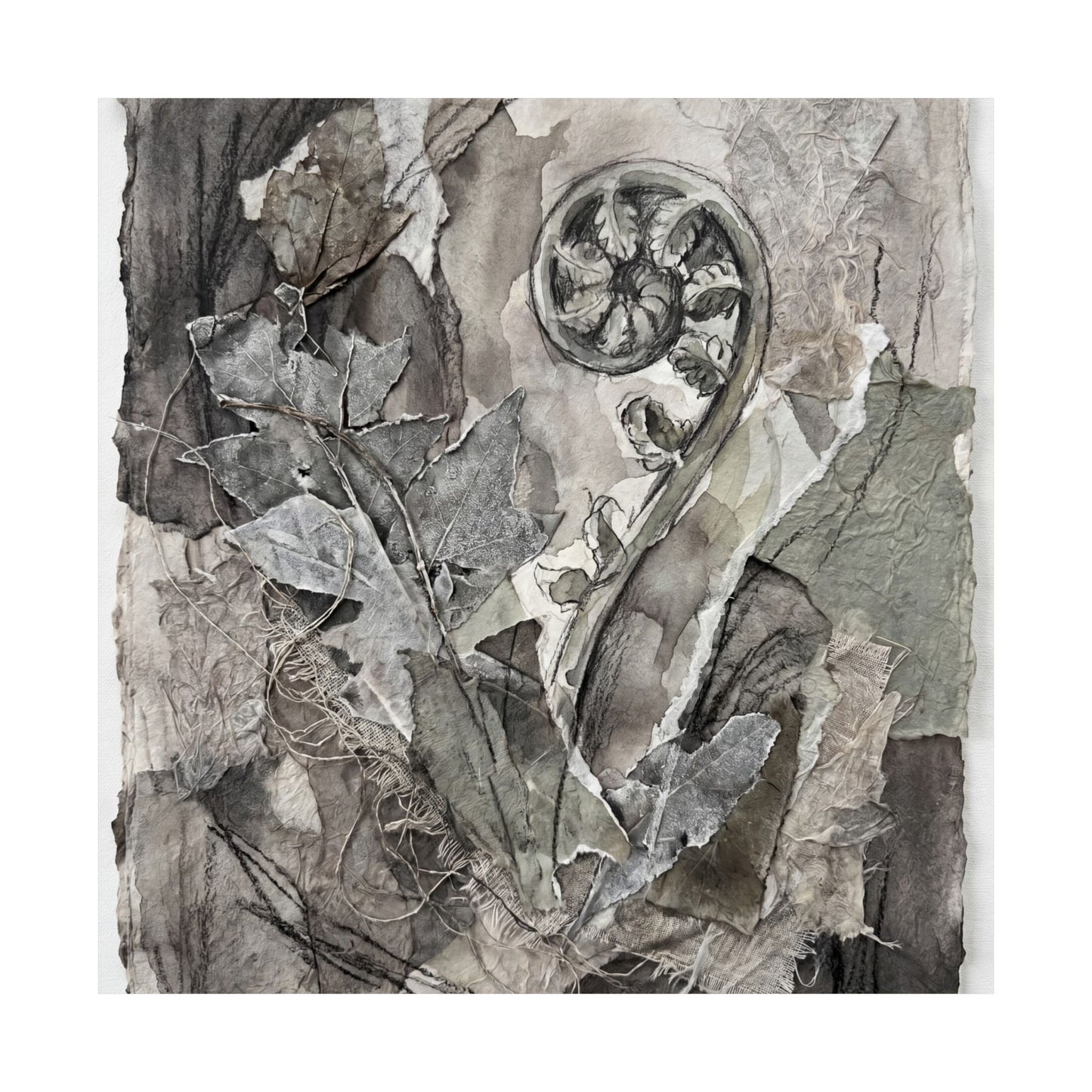 Mono No Aware Fern Unfurling Wall Art Print - Japandi Texture