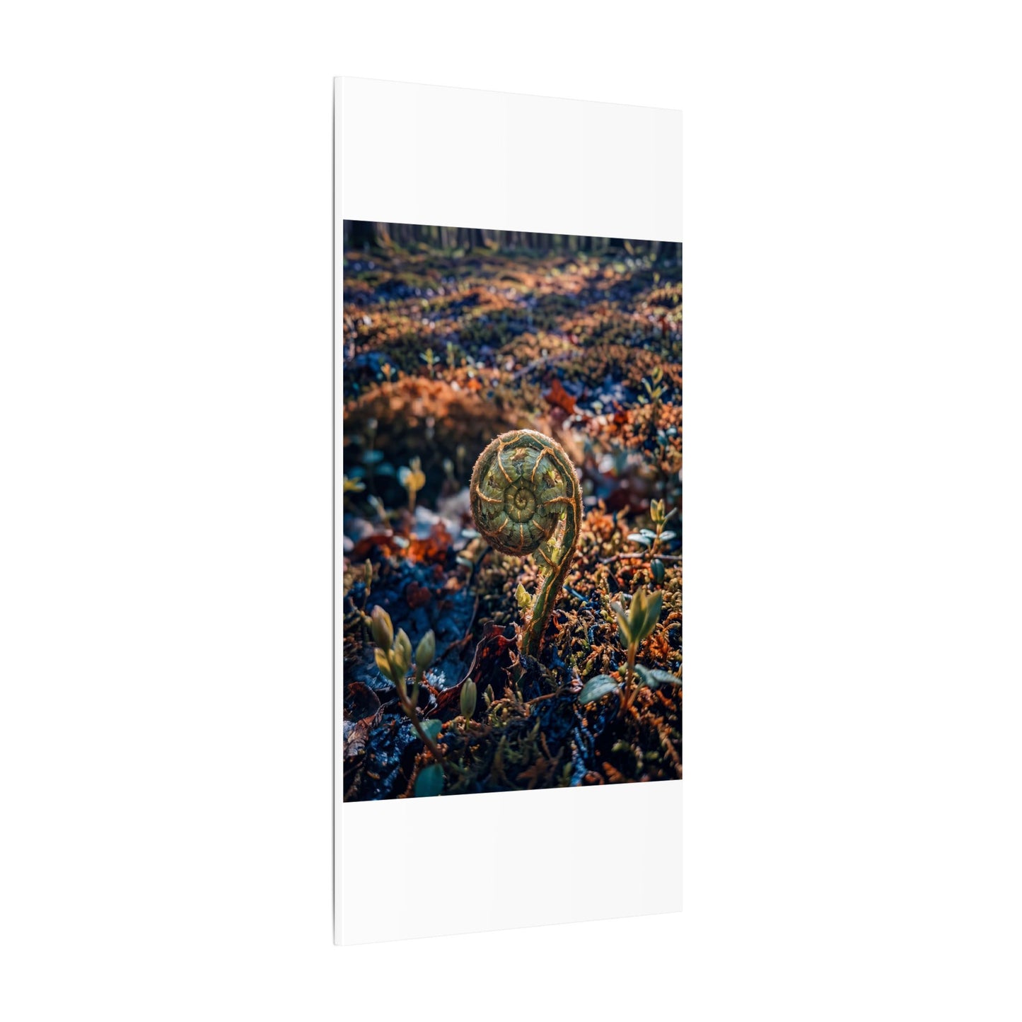 Kintsugi Fern Unfurling in Dappled | Gold Vein Canvas Art