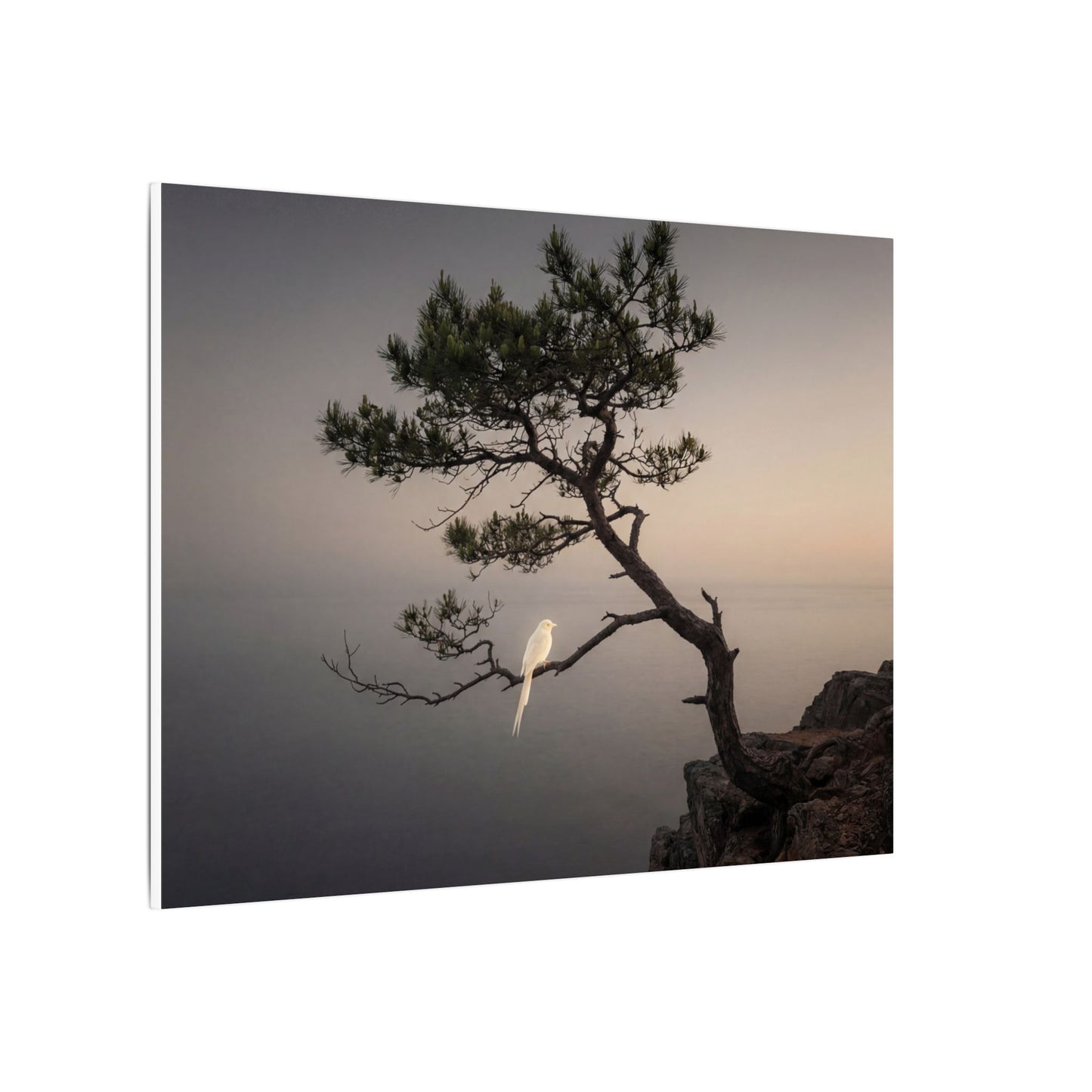 Dawn Pine Tree Canvas Art - Dark Japandi Datsuzoku