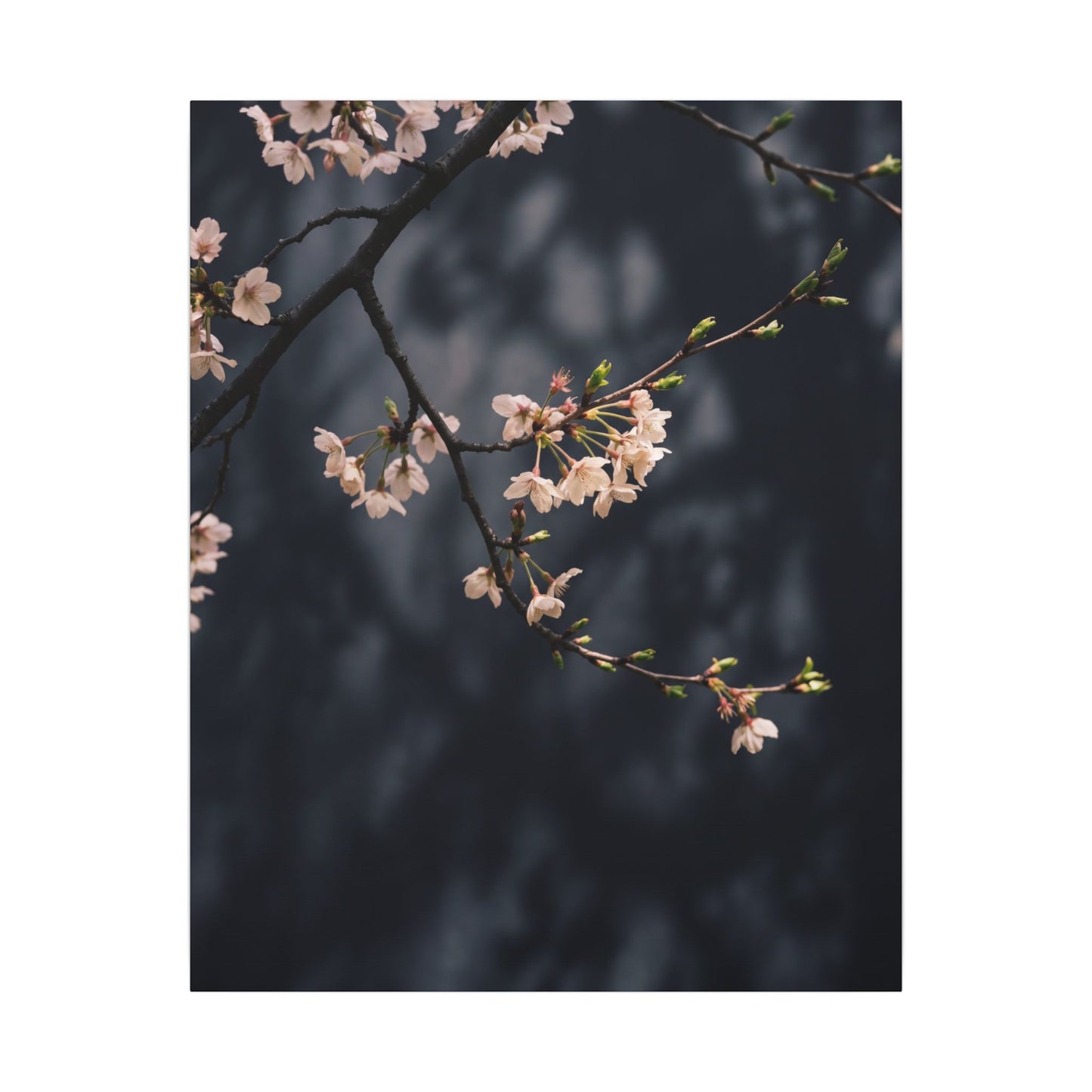 Cherry Blossom Moody Minimal Canvas Art | Bold Dark Japandi Art