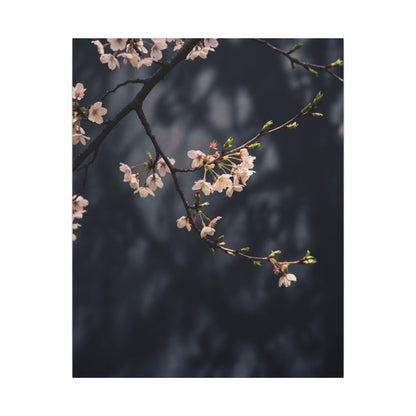 Cherry Blossom Moody Minimal Canvas Art | Bold Dark Japandi Art