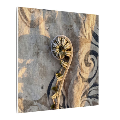Fern Unfurling Canvas Art | Winter Japandi Japanese Pattern Art