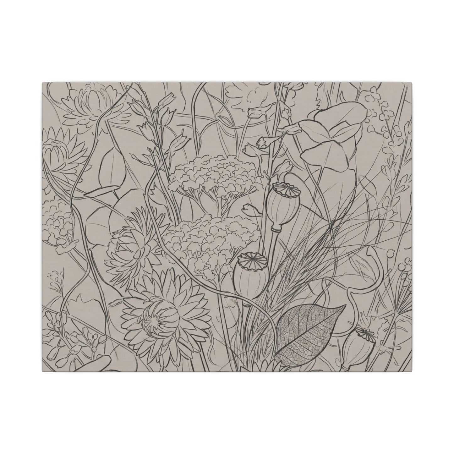 Summer Dried Flowers Minimal Line Canvas Art | Elegant Decor