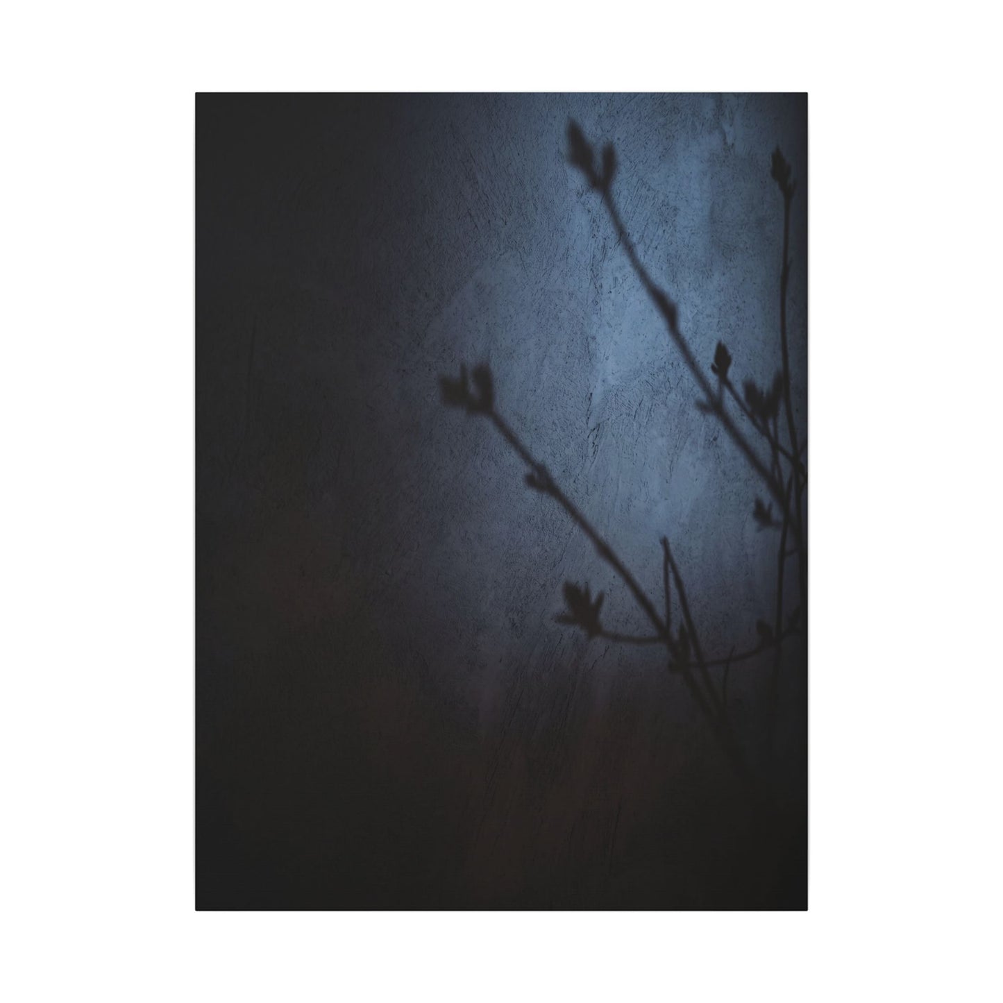 Shadow Play Canvas Art | Spring Dark Japandi Moody Minimal Art