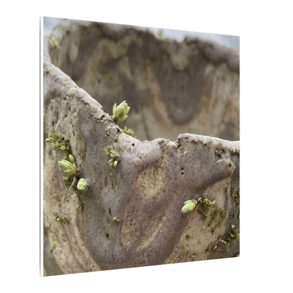 Overcast Ceramic Bowl Canvas Art - Japandi Fukinsei