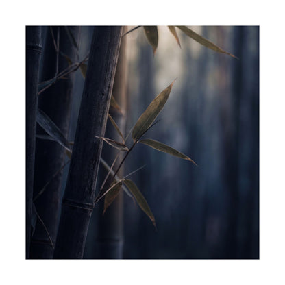 Dark Japandi Bamboo Grove in Dawn | Moody Minimal Wall Art Print