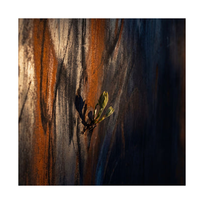 Rust Patina Spring Wall Art Print | Dark Japandi Sophisticated Design