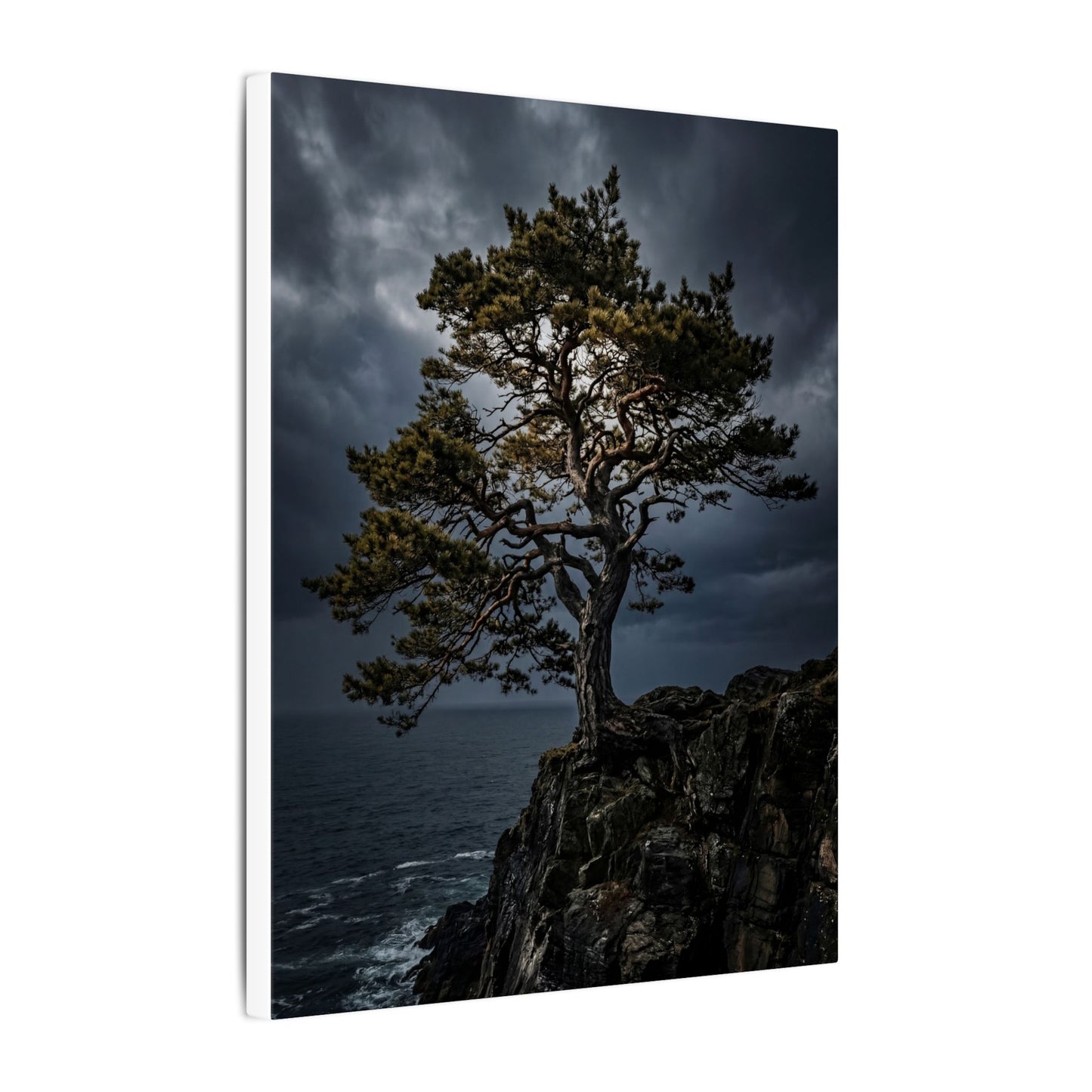 Dappled Pine Tree Canvas Art - Dark Japandi Fukinsei