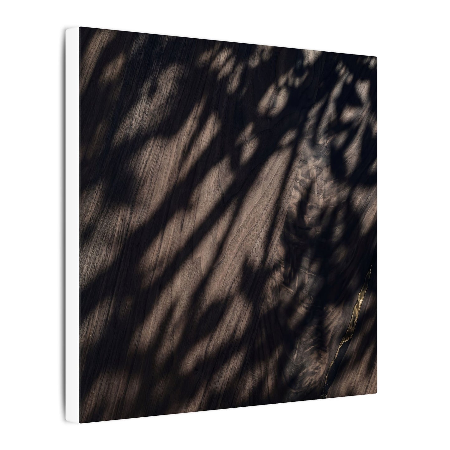 Shadow Play Summer Canvas Art | Dark Japandi Moody Design