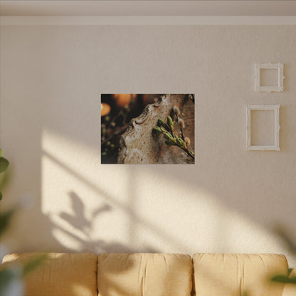 Overcast Ceramic Bowl Canvas Art - Japandi Ma