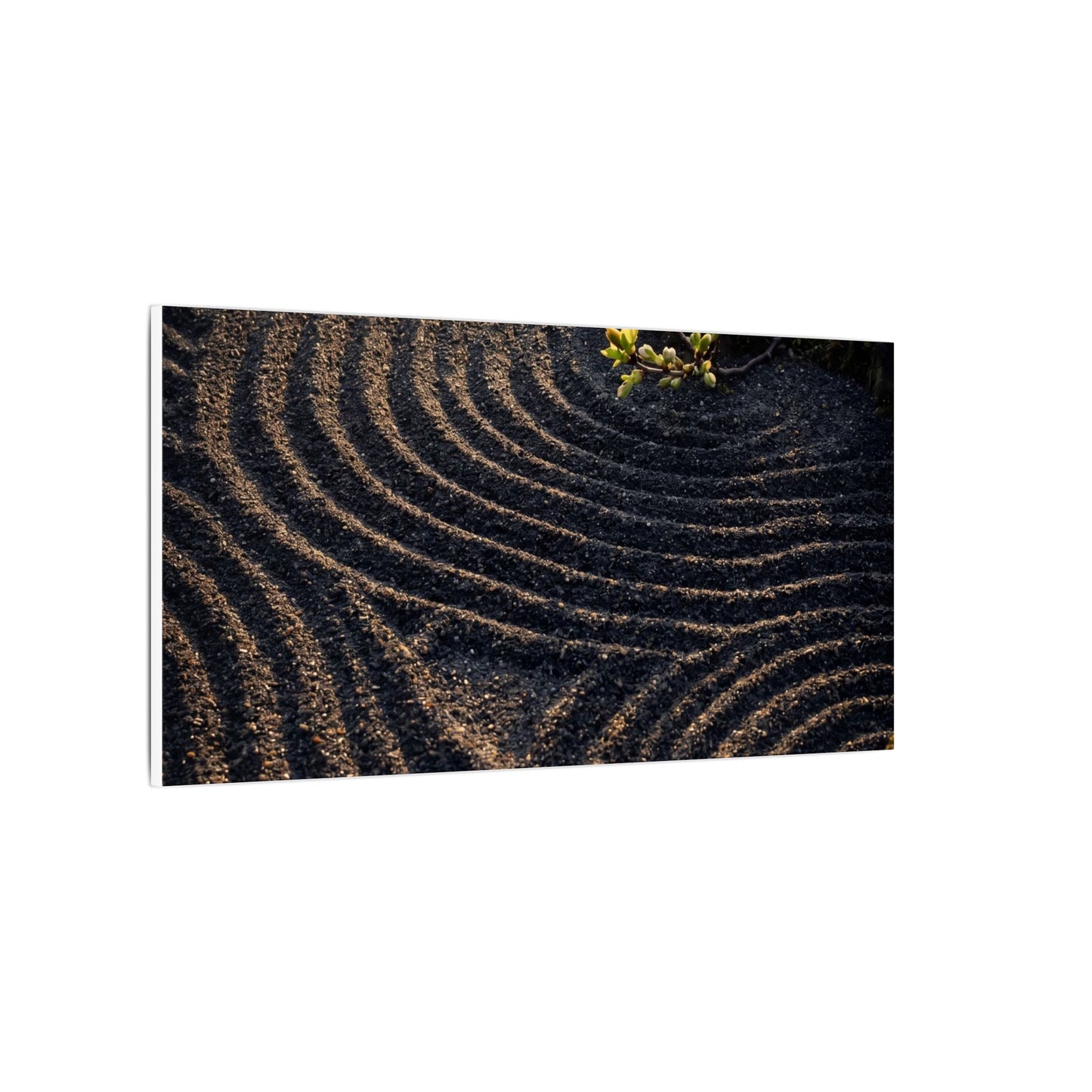 Spring Rock Garden Shadow Zen Canvas Art | Atmospheric Decor