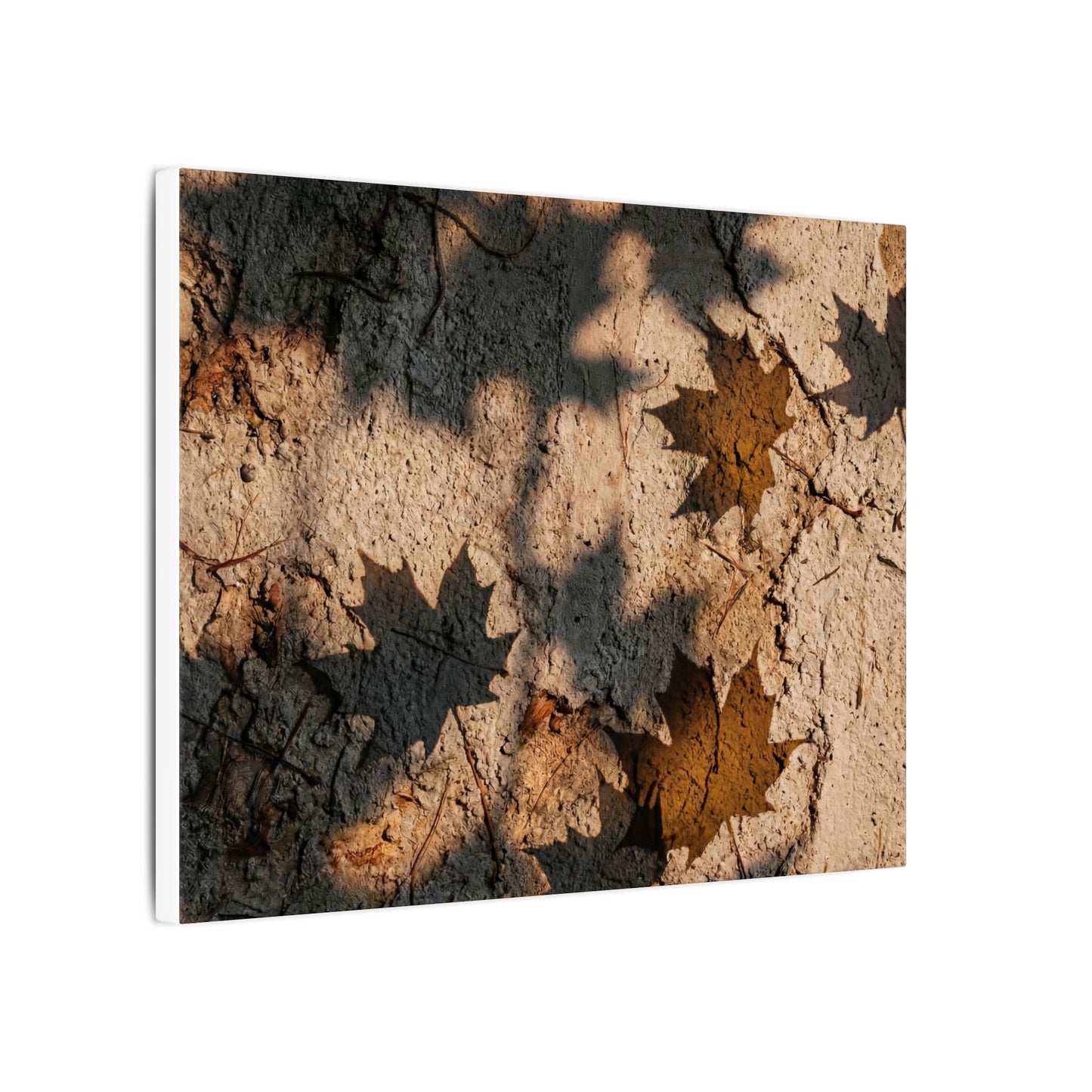 Cozy Shadow Play Canvas Art - Texture Japandi