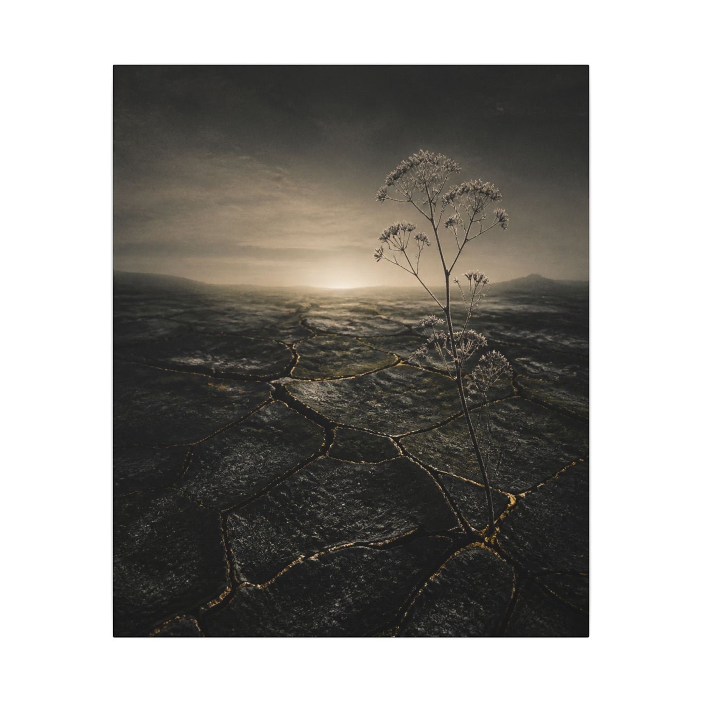 Dawn Cracked Earth Canvas Art - Dark Japandi Mono No Aware