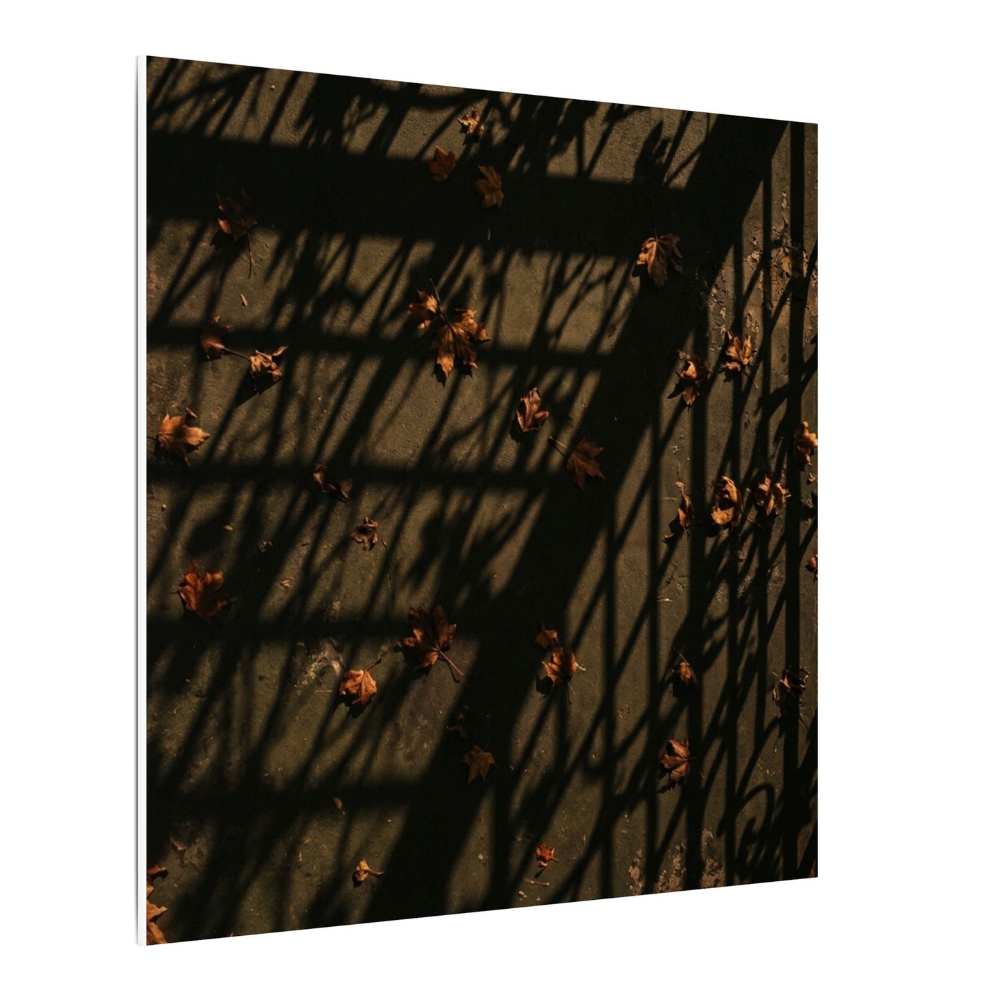 Dark Japandi Shadow Play in Golden Hour | Moody Minimal Canvas Art