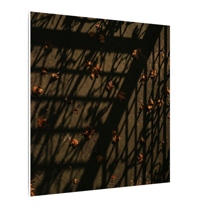 Dark Japandi Shadow Play in Golden Hour | Moody Minimal Canvas Art