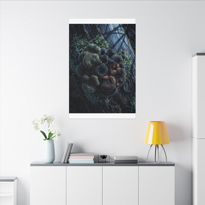 Wild Mushrooms Moody Minimal Canvas Art | Moody Dark Japandi Art