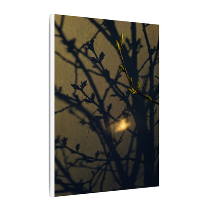 Bold Shadow Play Canvas Art - Moody Minimal Dark Japandi