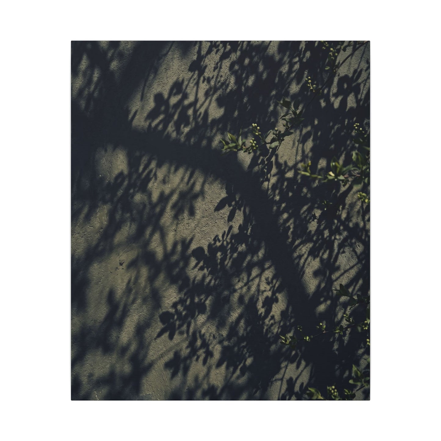Atmospheric Shadow Play Canvas Art - Moody Minimal Dark Japandi