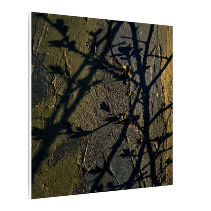 Kanso Shadow Play Canvas Art - Dark Japandi Dark Texture