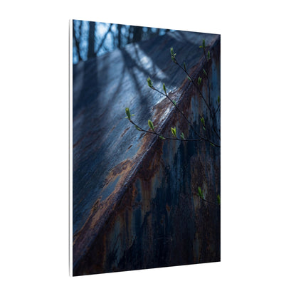 Rust Patina Canvas Art | Spring Dark Japandi Shadow Zen Art