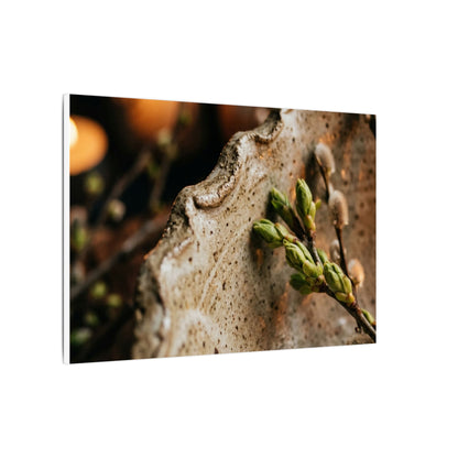 Overcast Ceramic Bowl Canvas Art - Japandi Ma