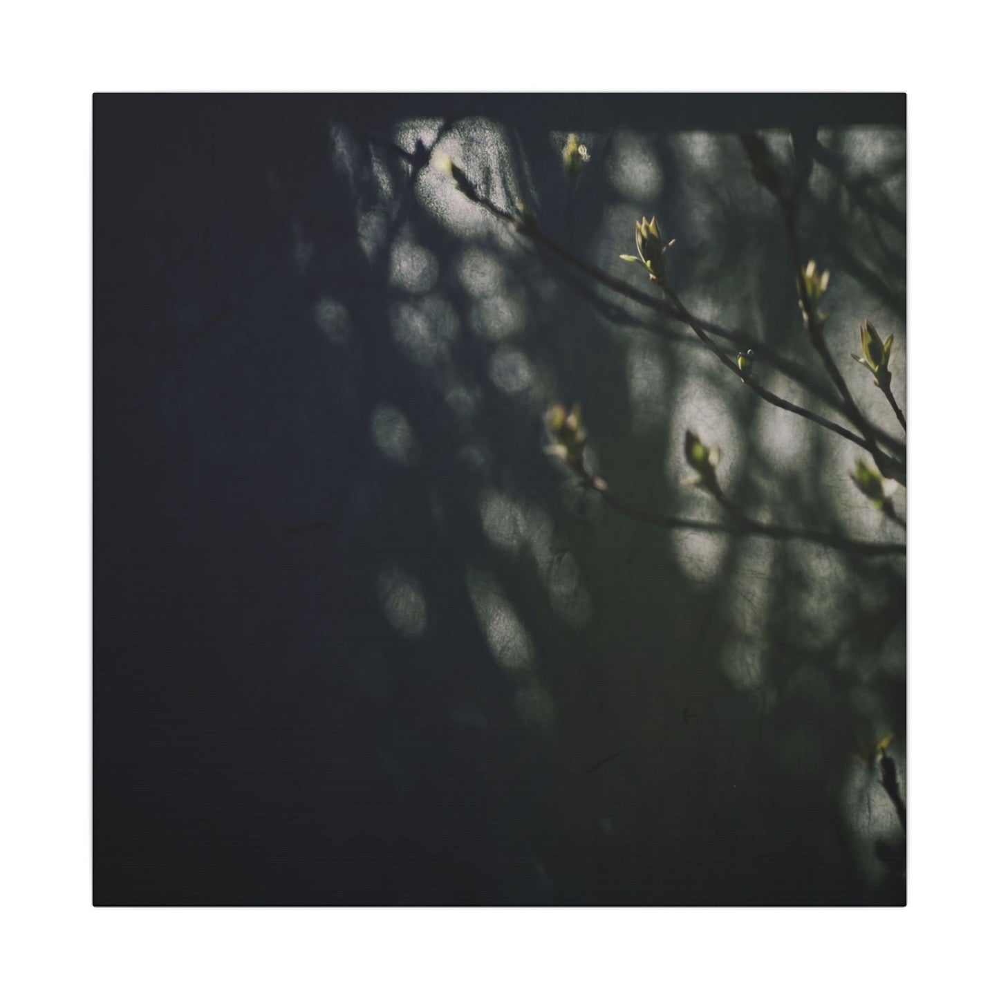 Dark Japandi Shoji Screen in Dappled | Moody Minimal Canvas Art