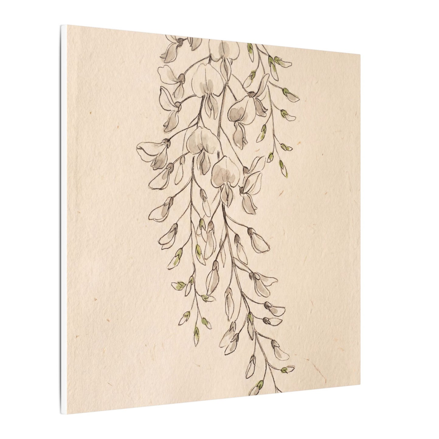 Japandi Wisteria in Golden Hour | Minimal Line Canvas Art