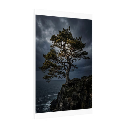 Dappled Pine Tree Canvas Art - Dark Japandi Fukinsei