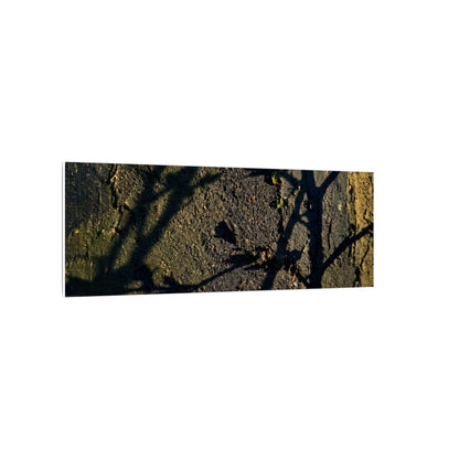 Kanso Shadow Play Canvas Art - Dark Japandi Dark Texture