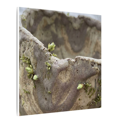 Overcast Ceramic Bowl Canvas Art - Japandi Fukinsei