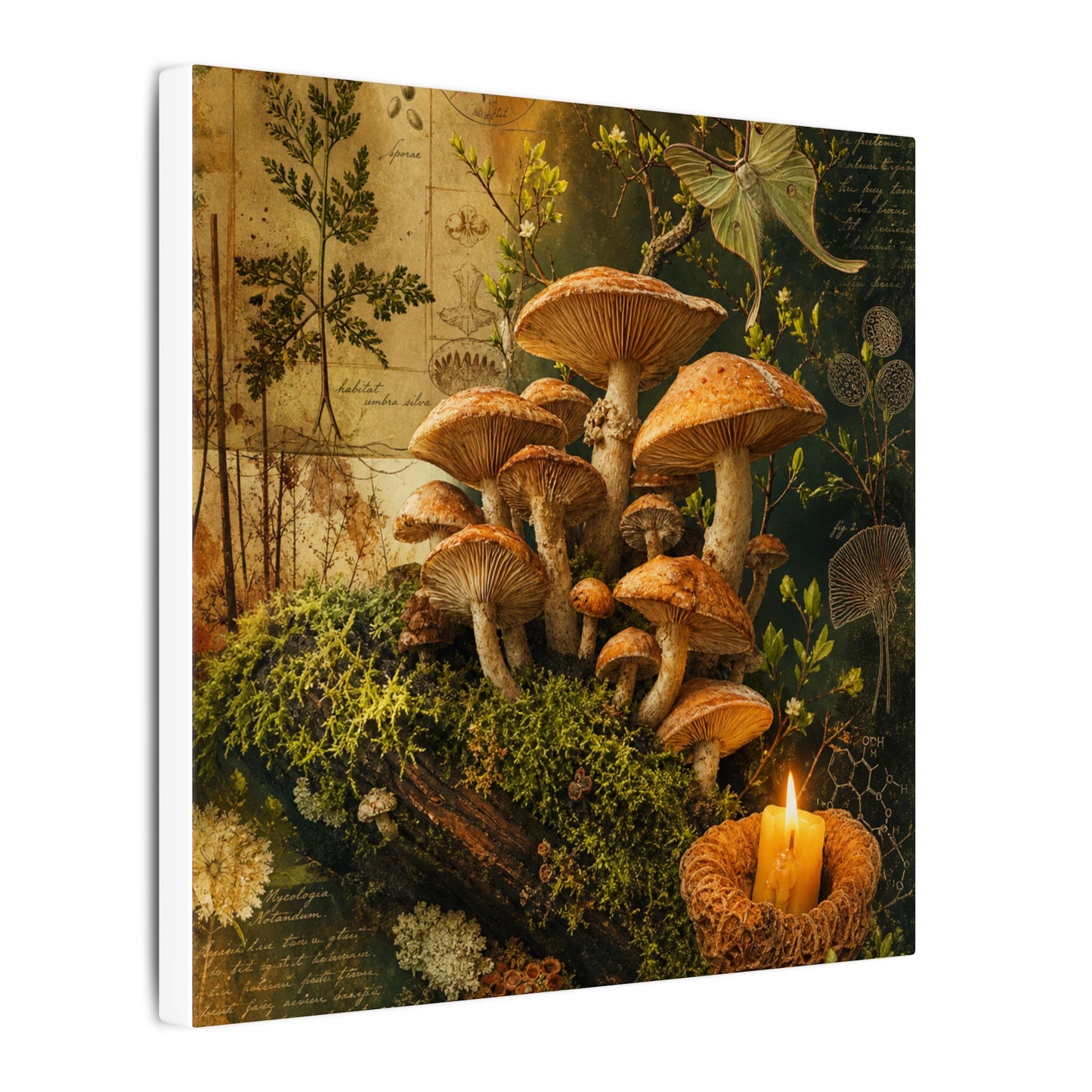 Spring Wild Mushrooms Herbarium Canvas Art | Earthy Decor