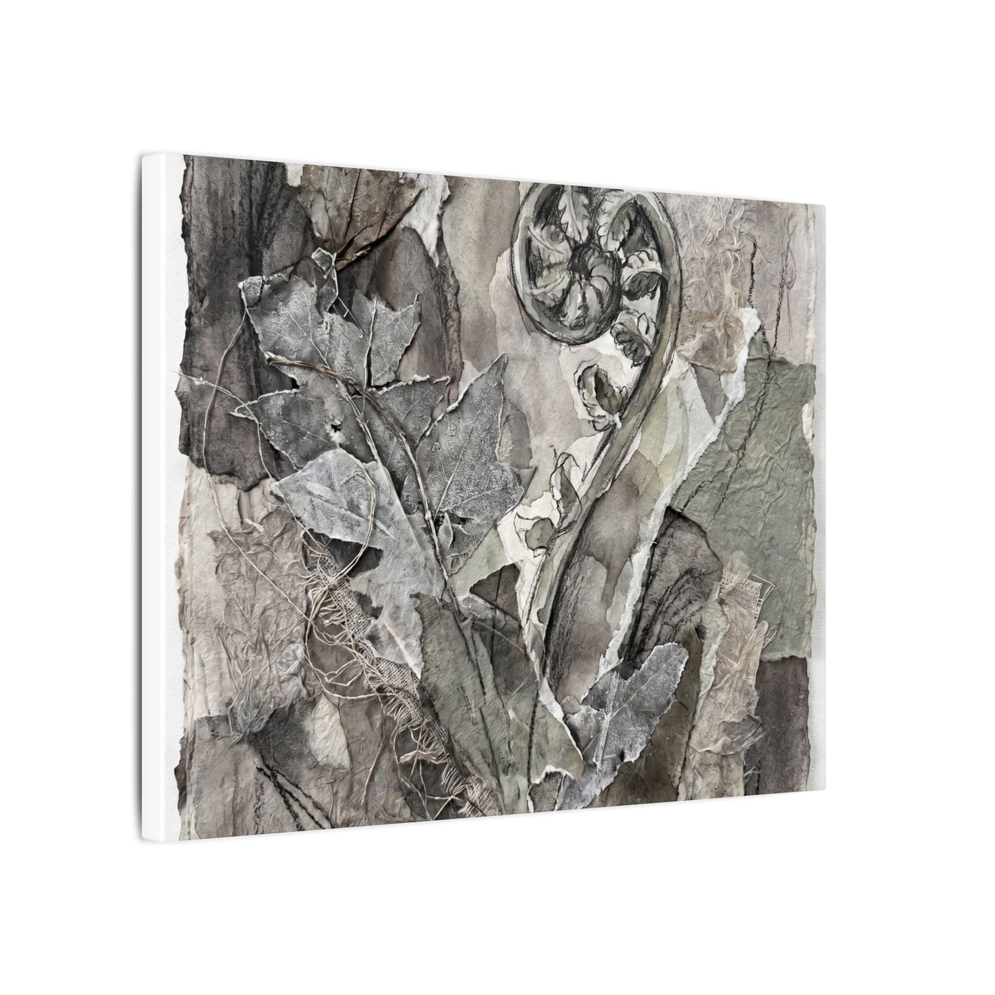 Japandi Fern Unfurling in Overcast | Texture Canvas Art