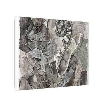 Japandi Fern Unfurling in Overcast | Texture Canvas Art