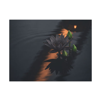 Seijaku Lotus Flower Canvas Art - Dark Japandi Shadow Zen