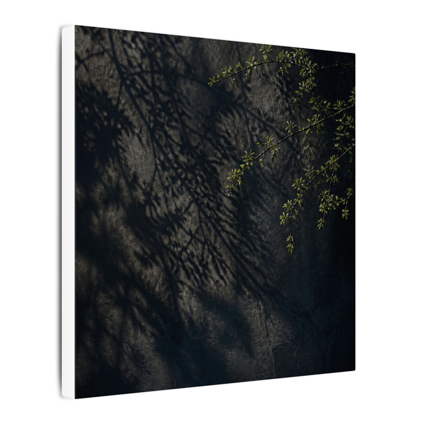 Overcast Shadow Play Canvas Art - Dark Japandi Seijaku