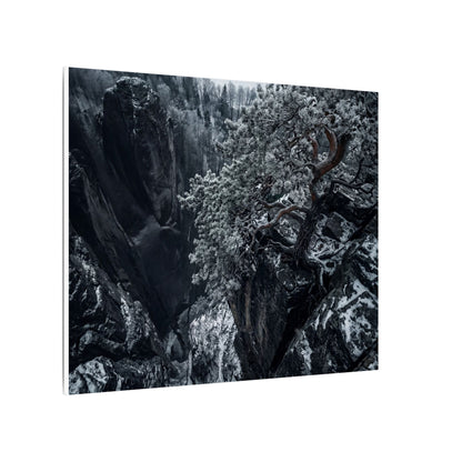 Dark Japandi Pine Tree in Dappled | Dark Texture Canvas Art