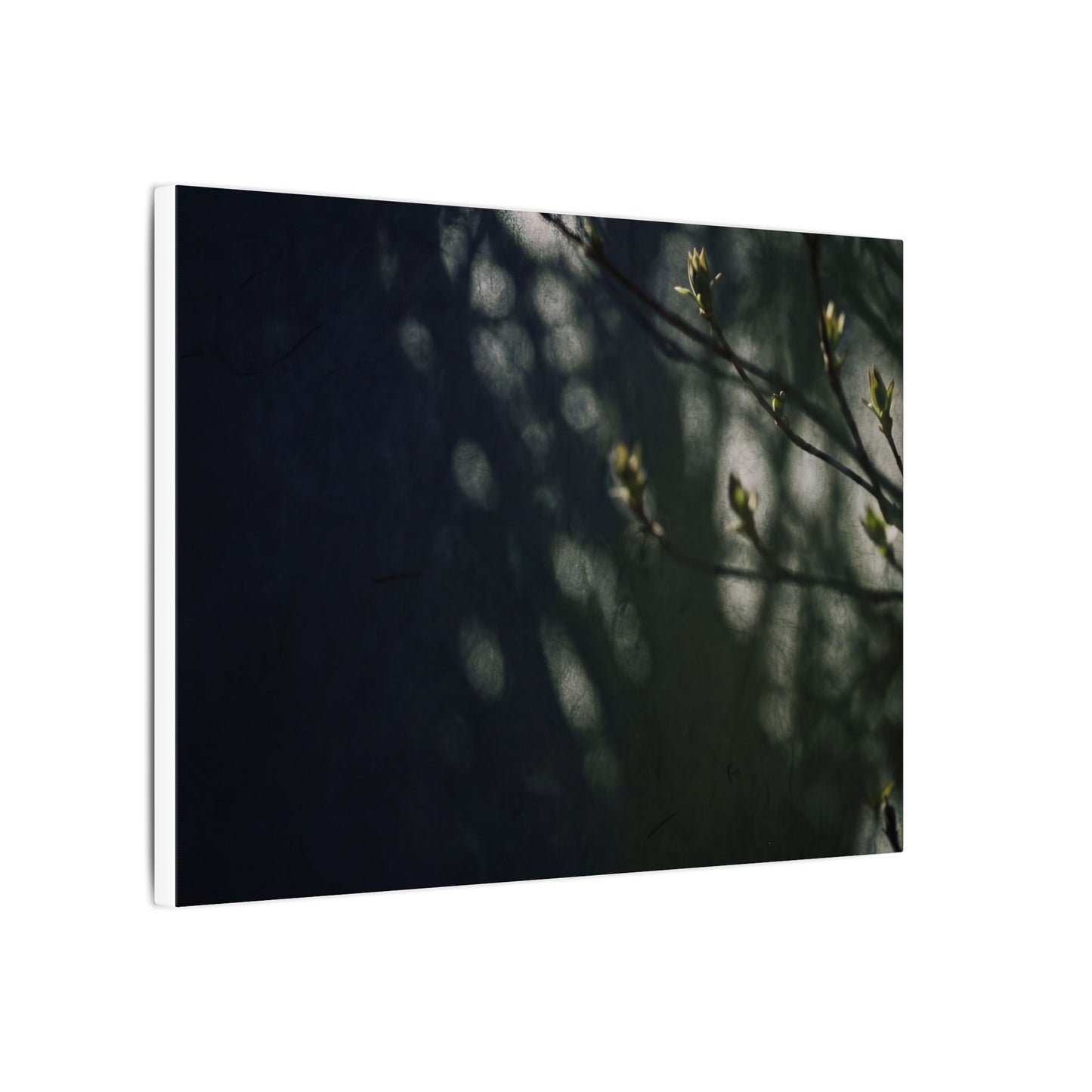 Dark Japandi Shoji Screen in Dappled | Moody Minimal Canvas Art