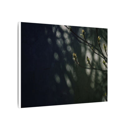 Dark Japandi Shoji Screen in Dappled | Moody Minimal Canvas Art