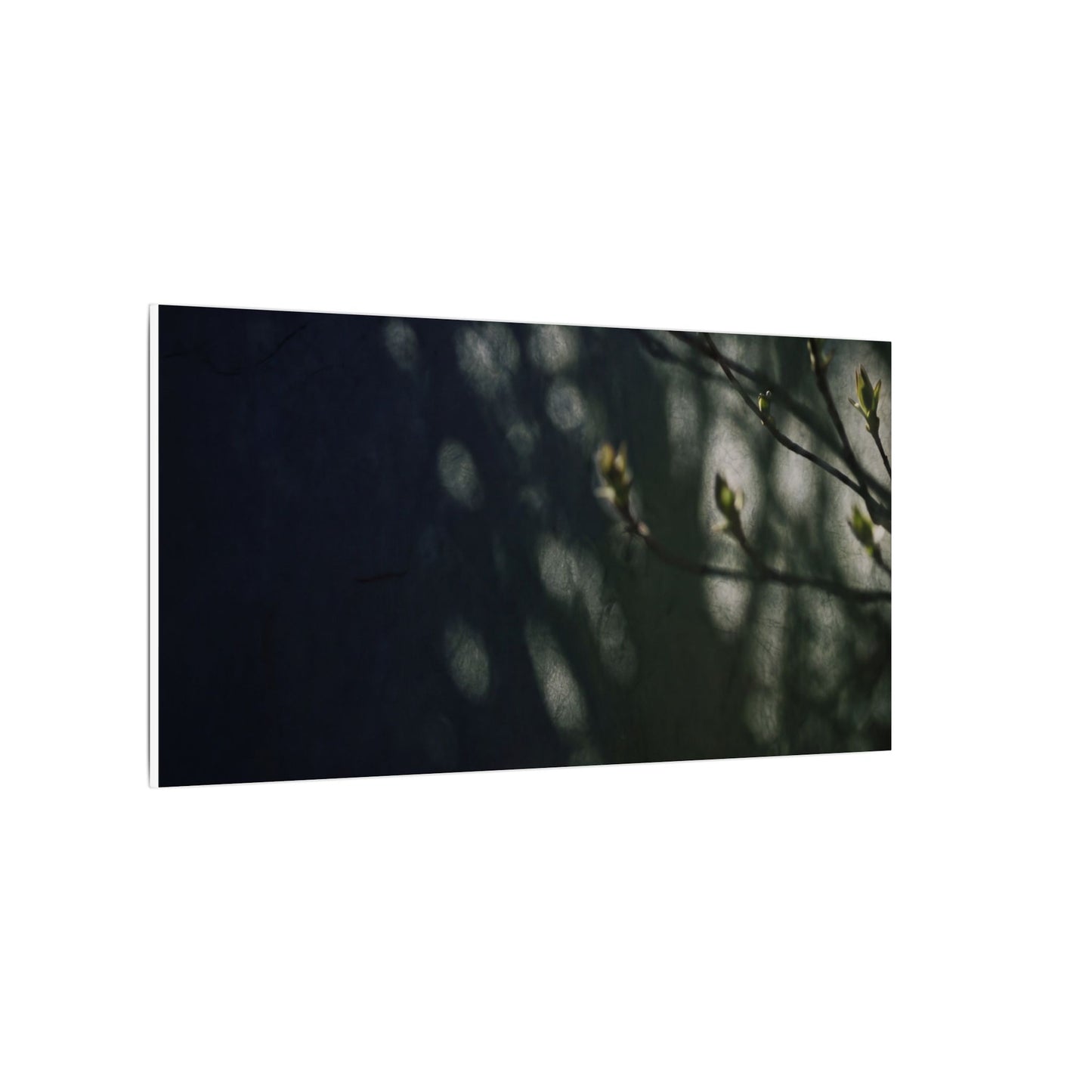 Dark Japandi Shoji Screen in Dappled | Moody Minimal Canvas Art