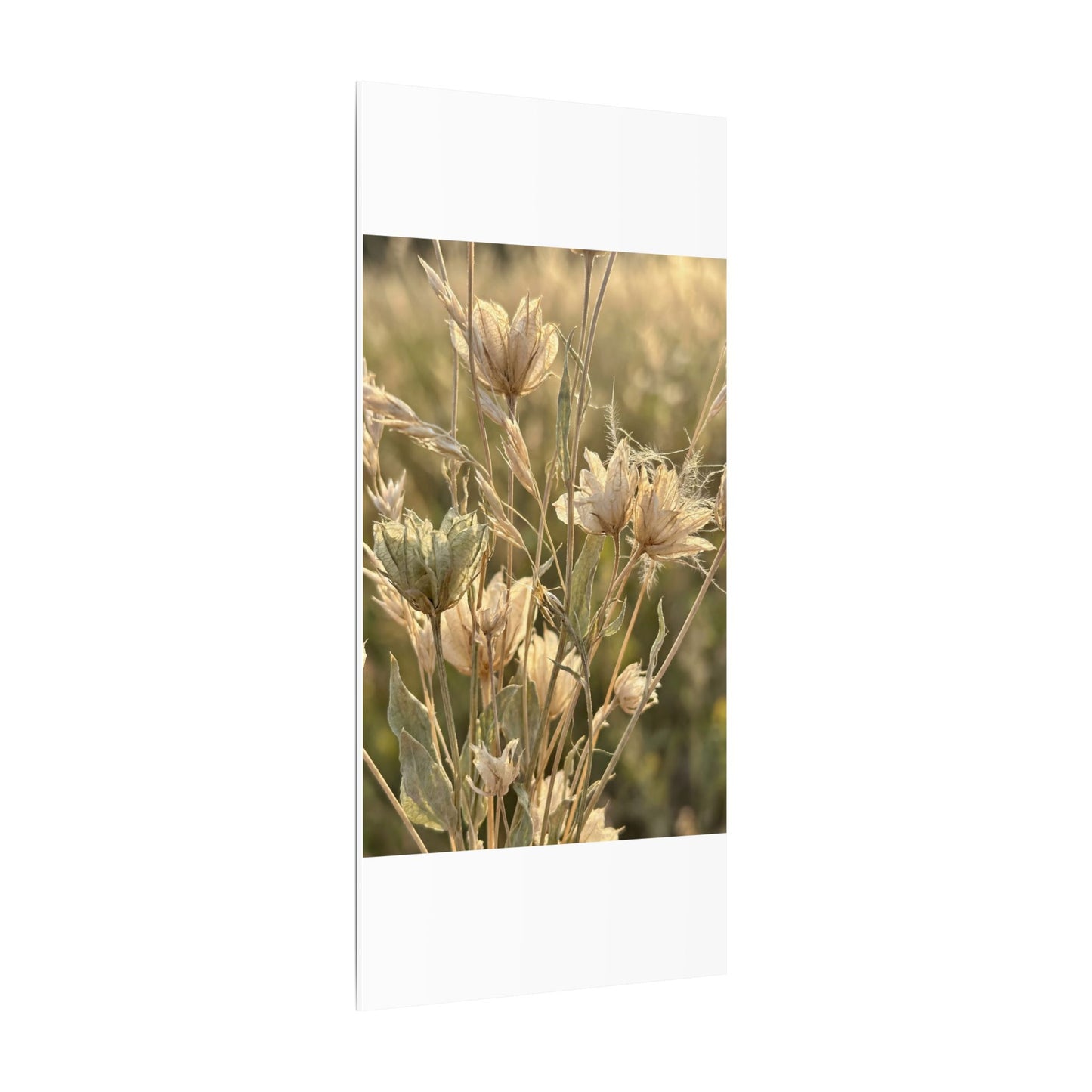 Summer Dried Flowers Minimal Line Canvas Art | Cozy Decor