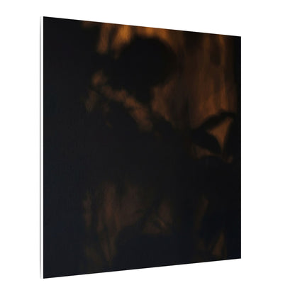 Shadow Play Summer Canvas Art | Dark Japandi Sophisticated Design